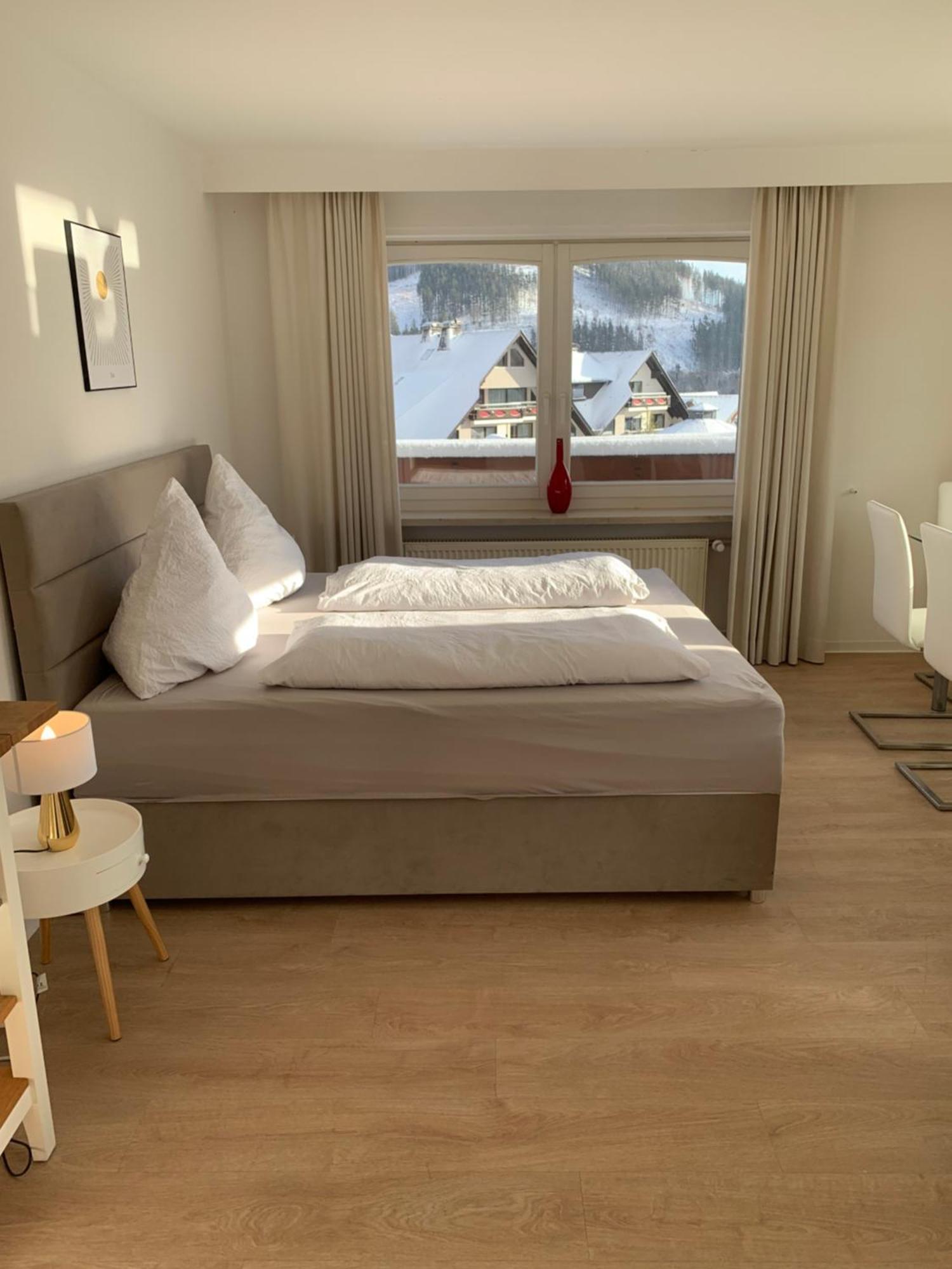 Landhaus Wiesemann Parkappartements & Dependance - Naehe Ettelsberg-Talstation Willingen  Exteriör bild